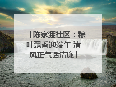 陈家渡社区：粽叶飘香迎端午 清风正气话清廉