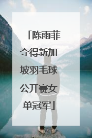 陈雨菲夺得新加坡羽毛球公开赛女单冠军