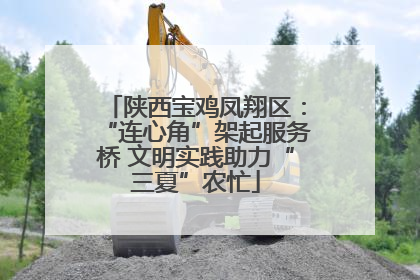 陕西宝鸡凤翔区：“连心角”架起服务桥 文明实践助力“三夏”农忙