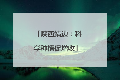 陕西靖边：科学种植促增收