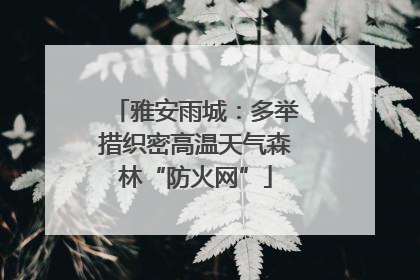 雅安雨城：多举措织密高温天气森林“防火网”