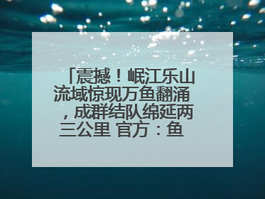 震撼！岷江乐山流域惊现万鱼翻涌，成群结队绵延两三公里 官方：鱼群在此产卵