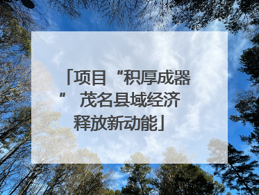 项目“积厚成器” 茂名县域经济释放新动能