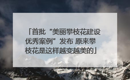 首批“美丽攀枝花建设优秀案例”发布 原来攀枝花是这样越变越美的