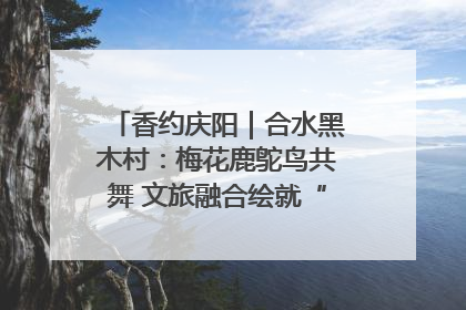 香约庆阳｜合水黑木村：梅花鹿鸵鸟共舞 文旅融合绘就“诗与远方”