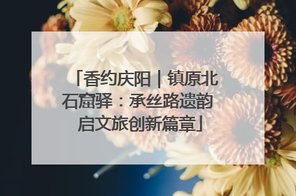 香约庆阳｜镇原北石窟驿：承丝路遗韵 启文旅创新篇章