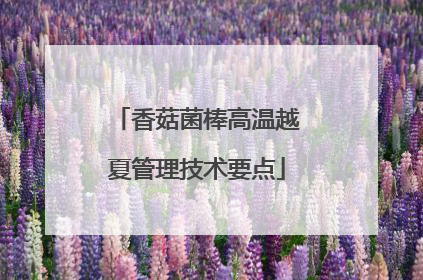 香菇菌棒高温越夏管理技术要点