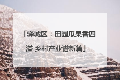 驿城区：田园瓜果香四溢 乡村产业谱新篇