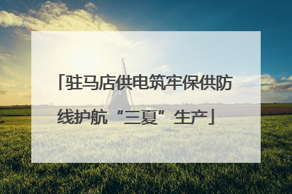 驻马店供电筑牢保供防线护航“三夏”生产