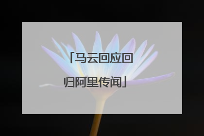 马云回应回归阿里传闻