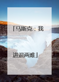 马斯克：我进退两难