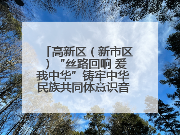 高新区（新市区）“丝路回响 爱我中华”铸牢中华民族共同体意识音乐会启幕