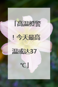 高温橙警！今天最高温或达37℃