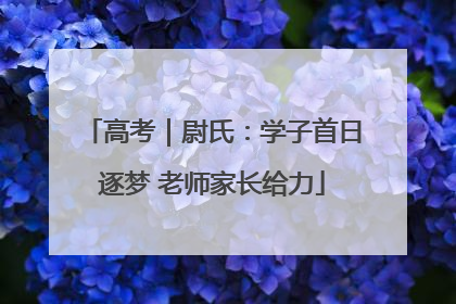 高考｜尉氏：学子首日逐梦 老师家长给力