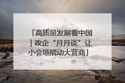 高质量发展看中国｜政企“月月谈”让小会场撬动大营商