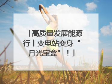高质量发展能源行丨变电站变身“月光宝盒”！