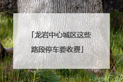 龙岩中心城区这些路段停车要收费