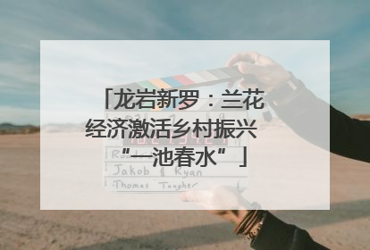龙岩新罗：兰花经济激活乡村振兴“一池春水”