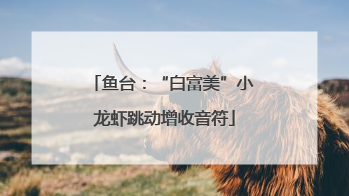 鱼台：“白富美”小龙虾跳动增收音符