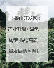 鲁山开发区：产业升级+绿色转型 描绘高质量发展新蓝图