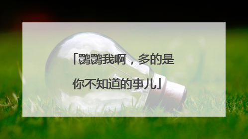 鹮鹮我啊，多的是你不知道的事儿