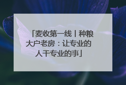 麦收第一线丨种粮大户老房：让专业的人干专业的事