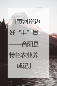 黄河岸边好“丰”景——合阳县特色农业养成记