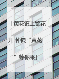黄花镇上繁花开 仲夏“黄花”等你来