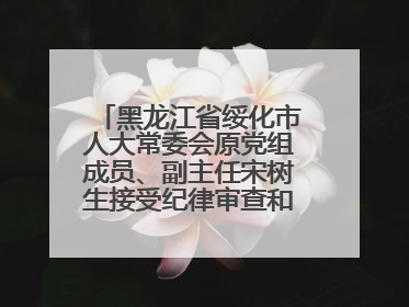 黑龙江省绥化市人大常委会原党组成员、副主任宋树生接受纪律审查和监察调查
