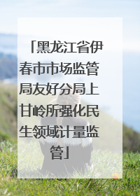 黑龙江省伊春市市场监管局友好分局上甘岭所强化民生领域计量监管