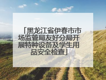 黑龙江省伊春市市场监管局友好分局开展特种设备及学生用品安全检查