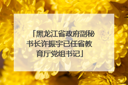 黑龙江省政府副秘书长许振宇已任省教育厅党组书记