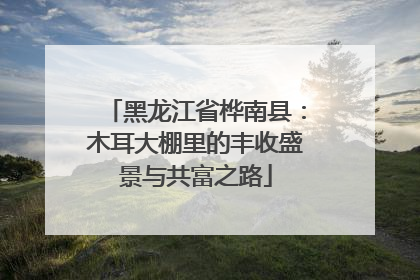 黑龙江省桦南县：木耳大棚里的丰收盛景与共富之路