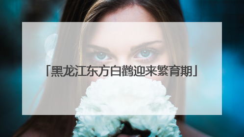 黑龙江东方白鹳迎来繁育期