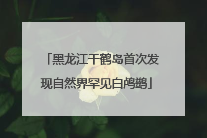 黑龙江千鹤岛首次发现自然界罕见白鸬鹚
