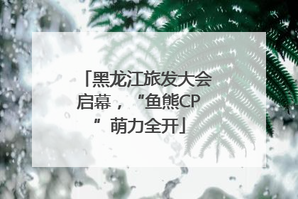 黑龙江旅发大会启幕，“鱼熊CP”萌力全开