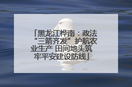黑龙江桦南：政法“三箭齐发”护航农业生产 田间地头筑牢平安建设防线