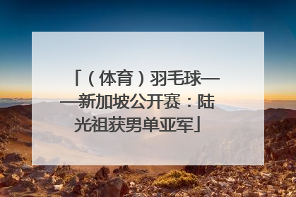 （体育）羽毛球——新加坡公开赛：陆光祖获男单亚军