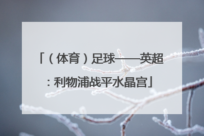 （体育）足球——英超：利物浦战平水晶宫