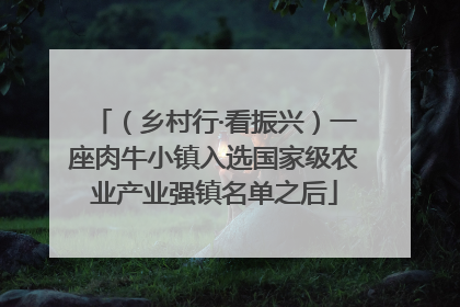 （乡村行·看振兴）一座肉牛小镇入选国家级农业产业强镇名单之后