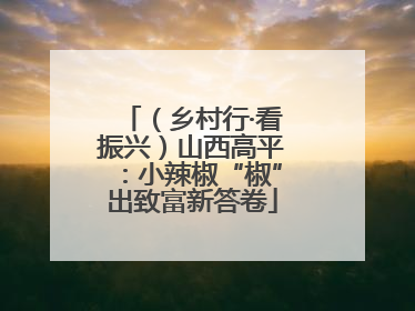 （乡村行·看振兴）山西高平：小辣椒“椒”出致富新答卷