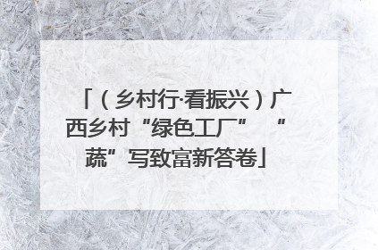 （乡村行·看振兴）广西乡村“绿色工厂” “蔬”写致富新答卷