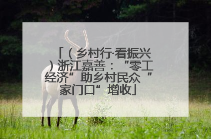 （乡村行·看振兴）浙江嘉善：“零工经济”助乡村民众“家门口”增收