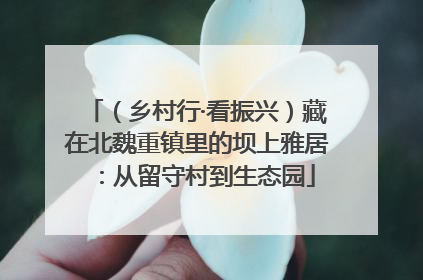 （乡村行·看振兴）藏在北魏重镇里的坝上雅居：从留守村到生态园