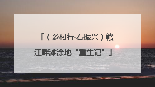 （乡村行·看振兴）赣江畔滩涂地“重生记”