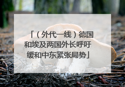（外代一线）德国和埃及两国外长呼吁缓和中东紧张局势