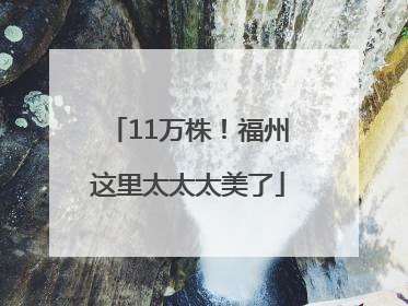 11万株！福州这里太太太美了
