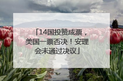 14国投赞成票，美国一票否决！安理会未通过决议