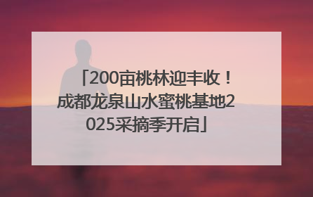 200亩桃林迎丰收！成都龙泉山水蜜桃基地2025采摘季开启