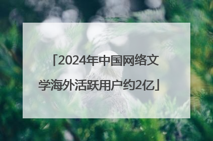 2024年中国网络文学海外活跃用户约2亿